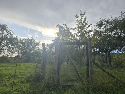 Fotografija s spletne strani Michel Kennel na poti