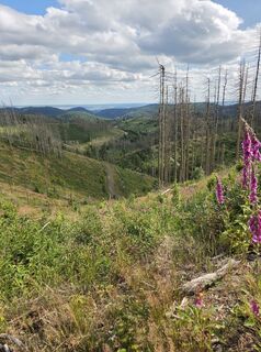 Zdjęcie z Lu. na wzdłuż trasy