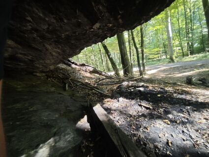 Zdjęcie z Michal Šedo wzdłuż trasy