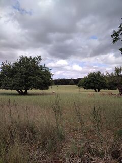 Foto de Porpáczy Szabina a lo largo del recorrido