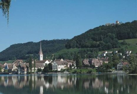 Stein am Rhein mit Burg Hohenklingen