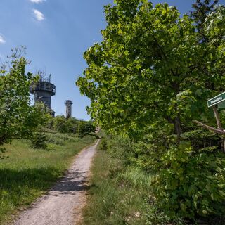 Wanderung zum Schneekopf, Thüringer Wald