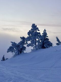 Zdjęcie z Snowboard-BS wzdłuż trasy
