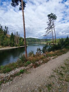 Foto de Steve Hensel a lo largo del recorrido