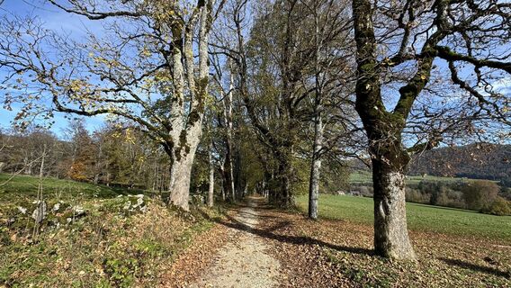 Foto von peter_oe entlang der Tour