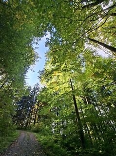 Foto von Ursula Woegerer entlang der Tour