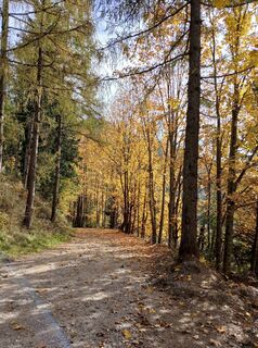 Fotografia z Irmgard Schinnerl na trase