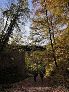 Fotografie z Kata na trase