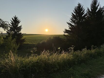 Foto von Schaali entlang der Tour