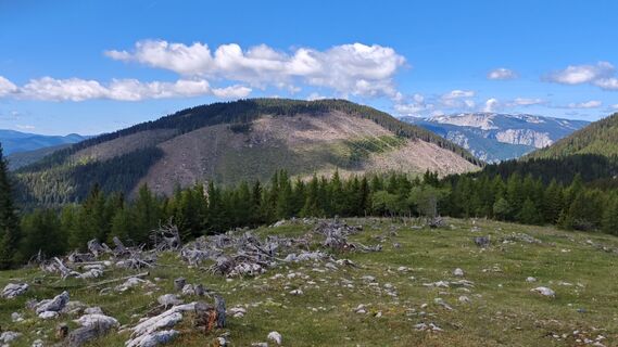 Foto von Bergpirat entlang der Tour