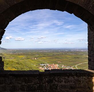 Blick auf Eschbach und das Weinland Pfalz