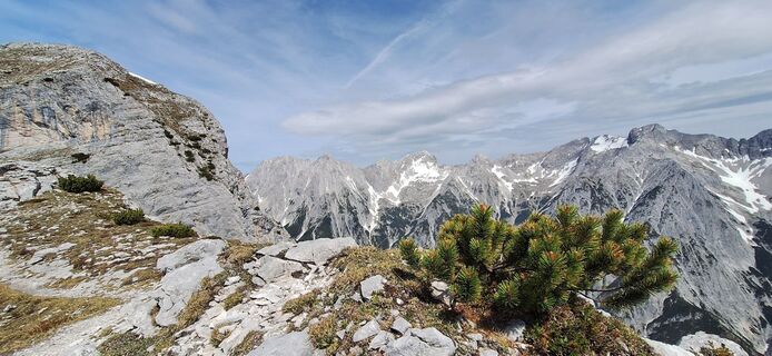 Fotografija s spletne strani Stefan Bliem 1 na poti