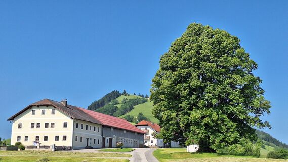 Fotografia z Gerhard Edermayer na trase