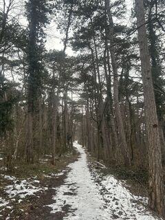 Foto von Arnold Gabor entlang der Tour
