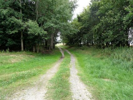 Wächterbergweg