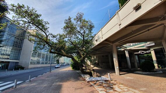 Ivrea, Olivetti-Komplex