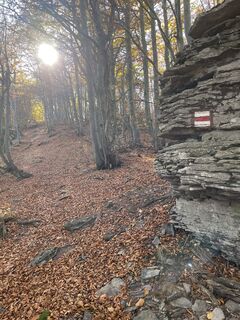Foto von Bacskai János entlang der Tour