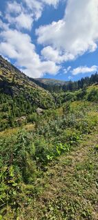 Foto von Monika Röska entlang der Tour