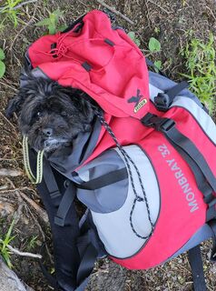 Foto de Mario Nöckl a lo largo del recorrido