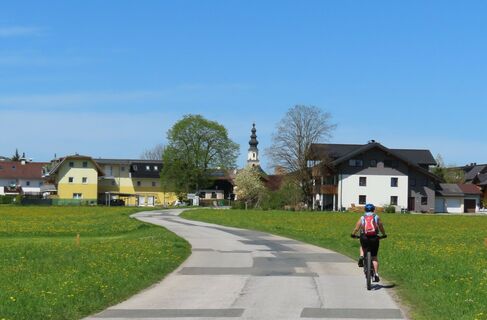 Thalgau