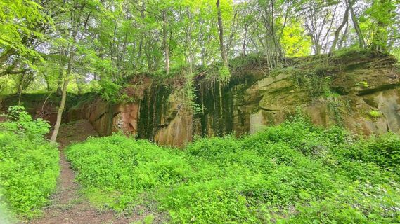 Felsen am Wanderweg Rund um Dalem