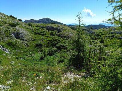 Fotografija s spletne strani Luca Zagallo na poti