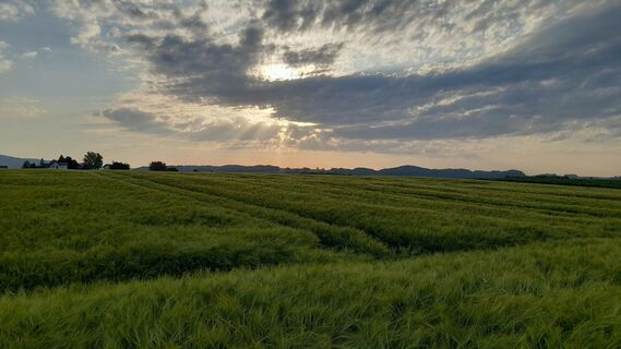 Foto von johpeterseil entlang der Tour