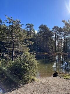 Photo de Denise Grossen le long du parcours