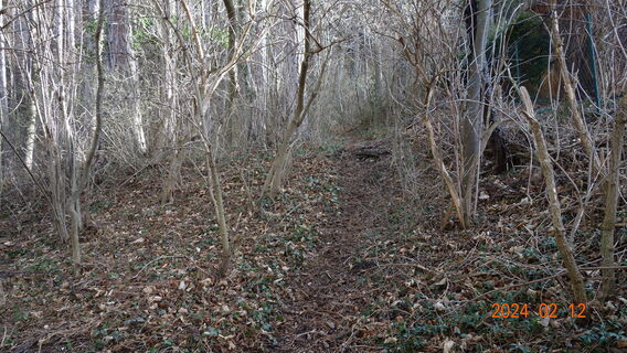 Aufstiegssteig auf Nase und Gösing