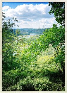 Photo de Weidenbaum le long du parcours