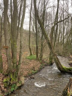 Photo from vieletausendkilometer along the tour