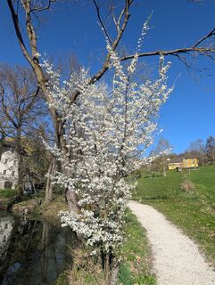 Fotografija s spletne strani Greti Mair na poti