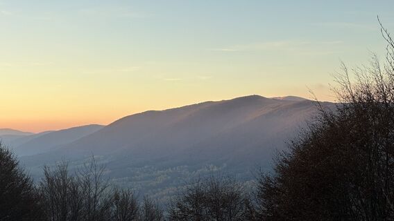 Fotografija s spletne strani Z-Polen na poti