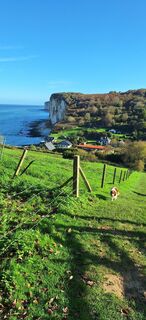 Fotografija s spletne strani Danny Verdonck na poti