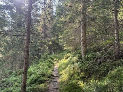 Fotografia z Peter Hutter 1 na trase