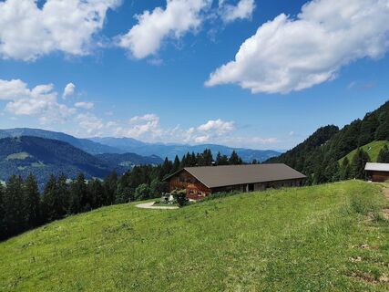 Alpe Schwarzenberger Platte im Lecknertal