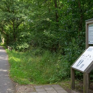 Hevehalbinsel Naturpromenade