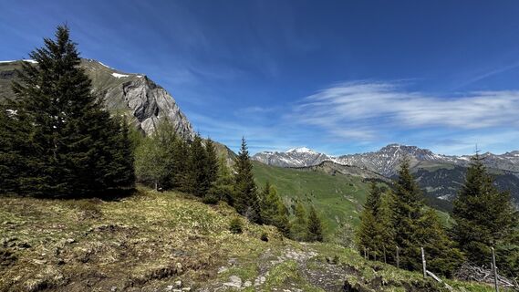 Foto von Andy Hills entlang der Tour