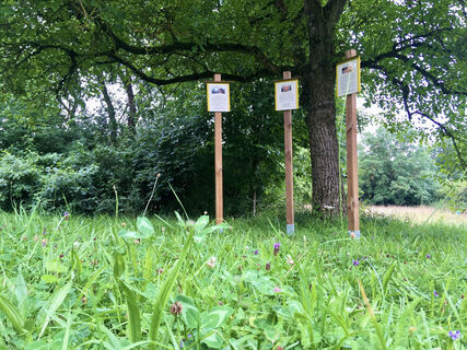 Wandern, Frauen unterWEGs Sommer, Imshausen, Kommunität, Bebra