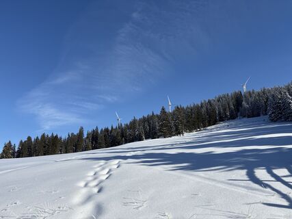Fotografie z Karl Graupp na trase