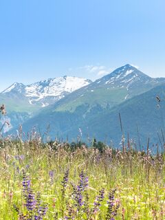 Blumenwiesen ab Aussois Plan de la Croix