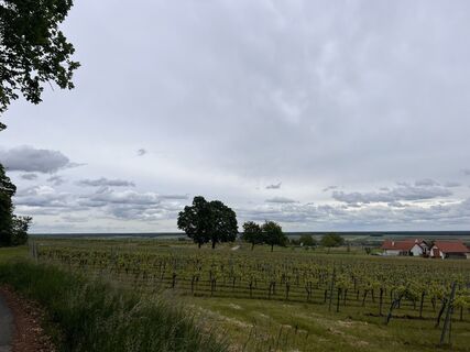 Foto von jongejan entlang der Tour