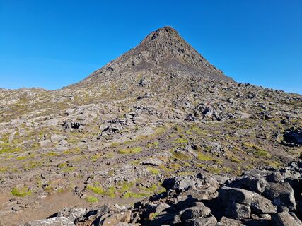 Photo de Sebastian Brasch le long du parcours
