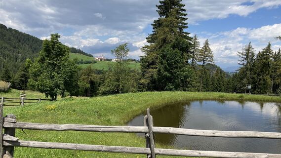 Photo de Albert Neuwirt le long du parcours