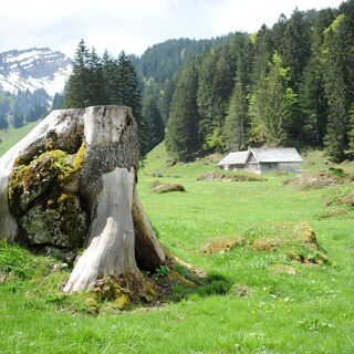 Ijental