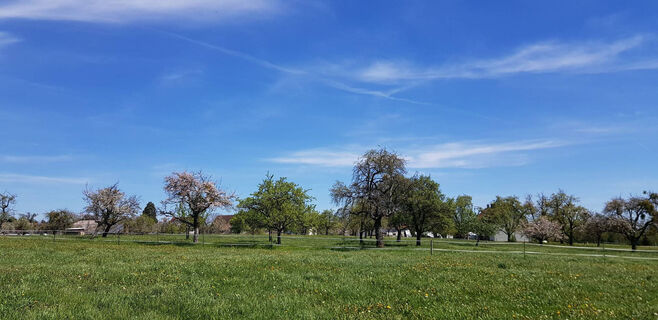 Fitnessrunde Mutlangen 3