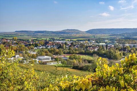 Ausblick Wanderweg | Güglingen | HeilbronnerLand