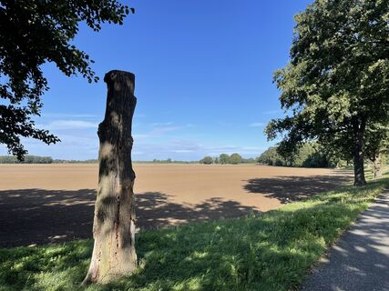 Fotó a Sebastian Keßler honlapról a túra során