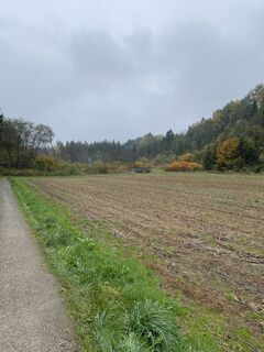 Foto de Cornelia Egger a lo largo del recorrido