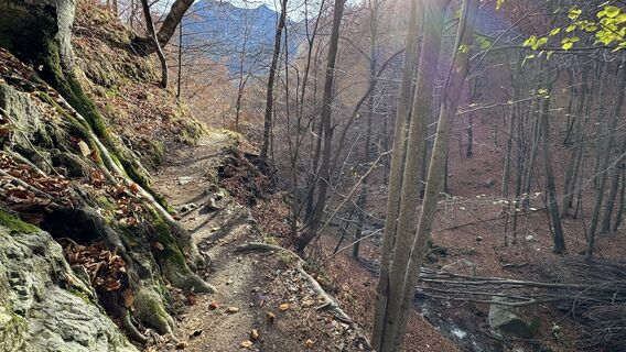 Fotografia z peter_oe na trase